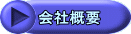 ЊTv